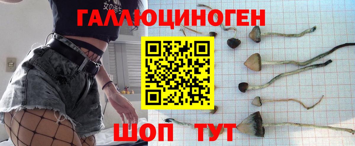 Галлюциногенные грибы GOLDEN TEACHER  Галлюциногенные грибы Psilocybine cubensis  Улан-Удэ  где можно купить   Вход с VPN 